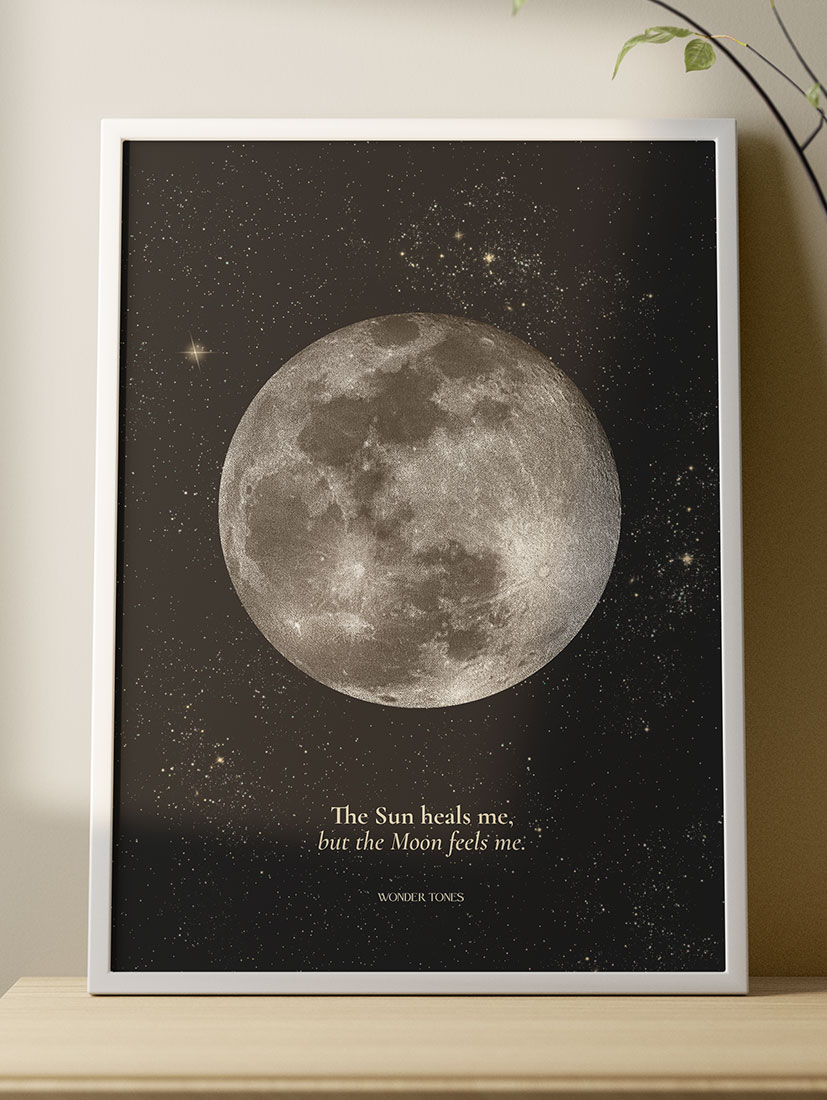 Full Moon Black Plakat 50x70cm