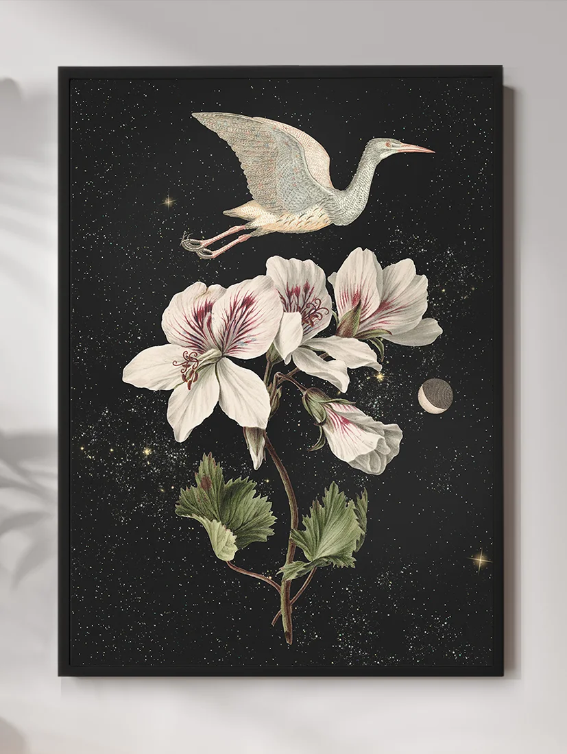 Plakat Moon Bird 40x50cm