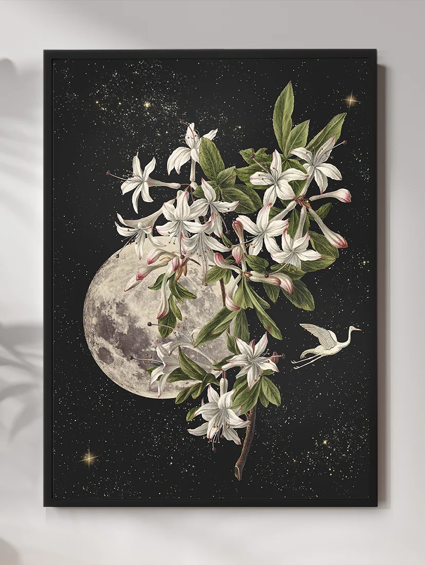 Plakat Moon Flower 40x50cm