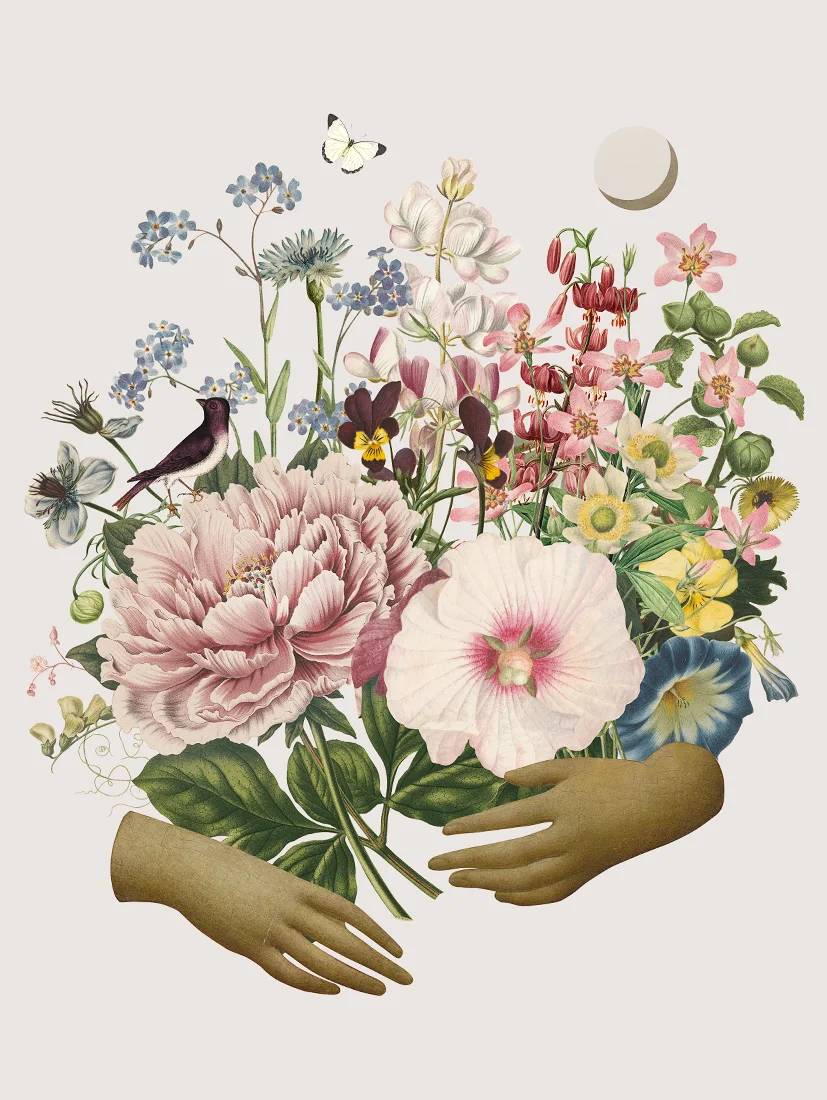 Plakat Gifts of Nature 30x40cm