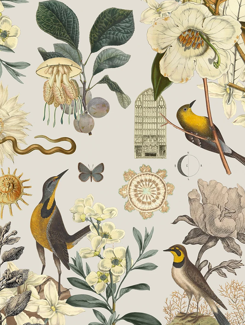 Plakat Imaginary 50x70cm