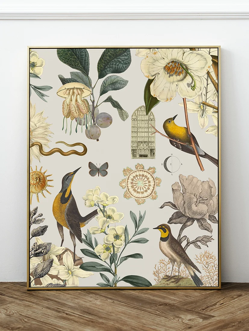 Plakat Imaginary 50x70cm