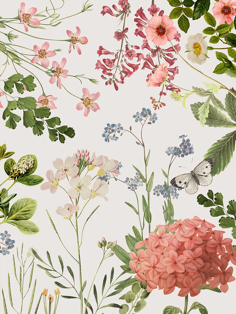 Plakat Bloom Flowers 50x70cm