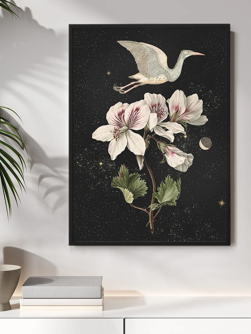 Plakat Moon Bird 50x70cm