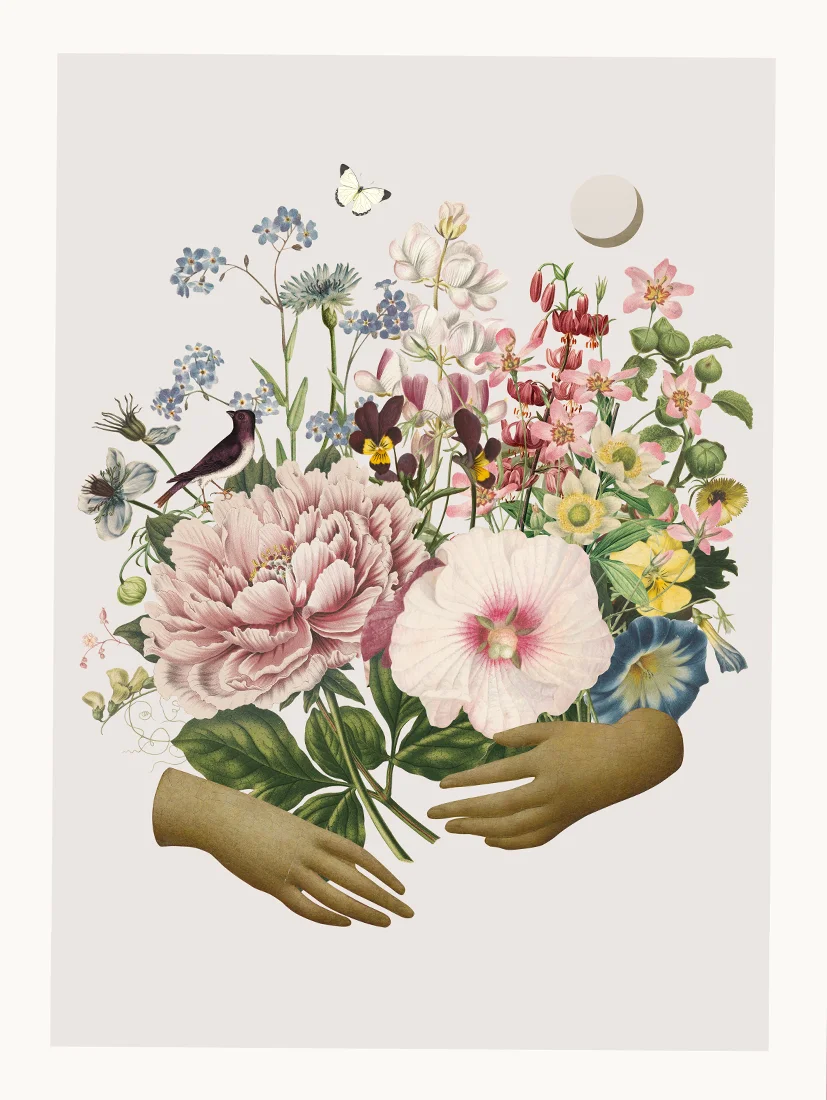 Plakat Gifts of Nature 50x70cm