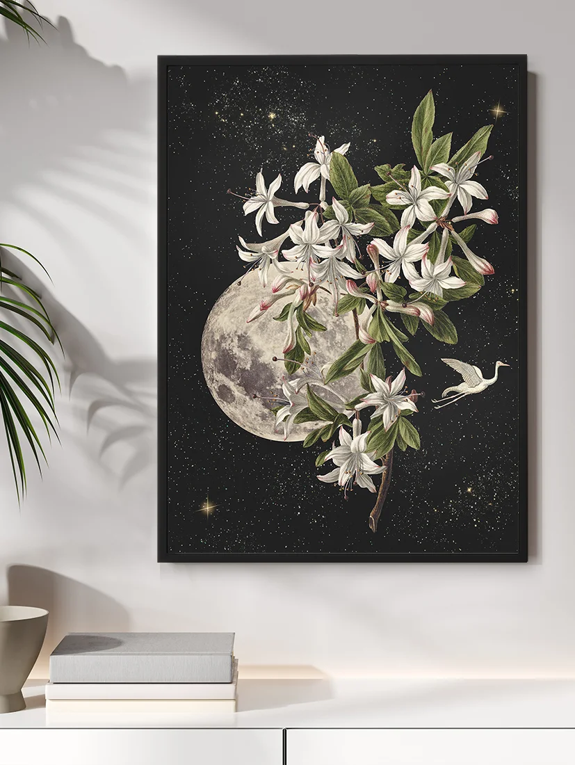 Plakat Moon Flower 50x70cm